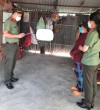 Khởi tố nhiều đối tượng về tội “Lừa đảo chiếm đoạt tài sản” và “Làm giả con dấu, tài liệu của cơ quan tổ chức”