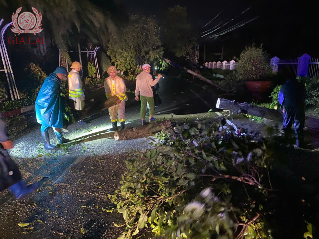 z7197009729256 62b0fcf4cb16b8c43822099fc212c332 1