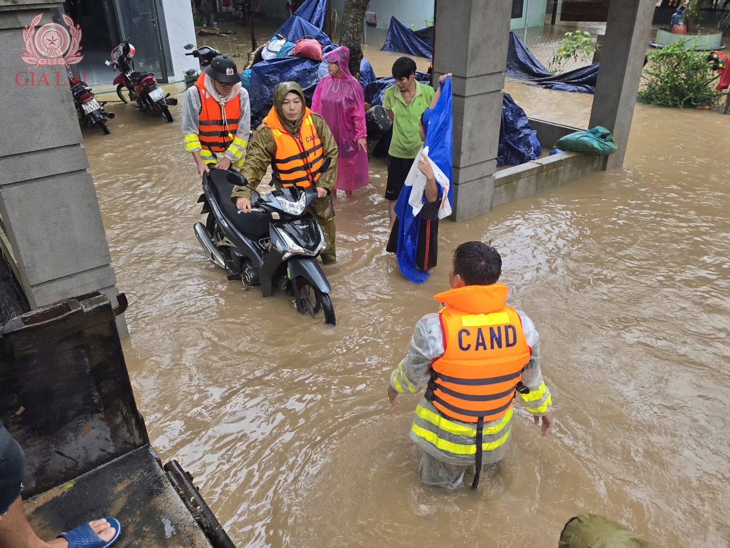 z7255755772567 a8c538cf64bf2416a0b7cf516e7b13c0