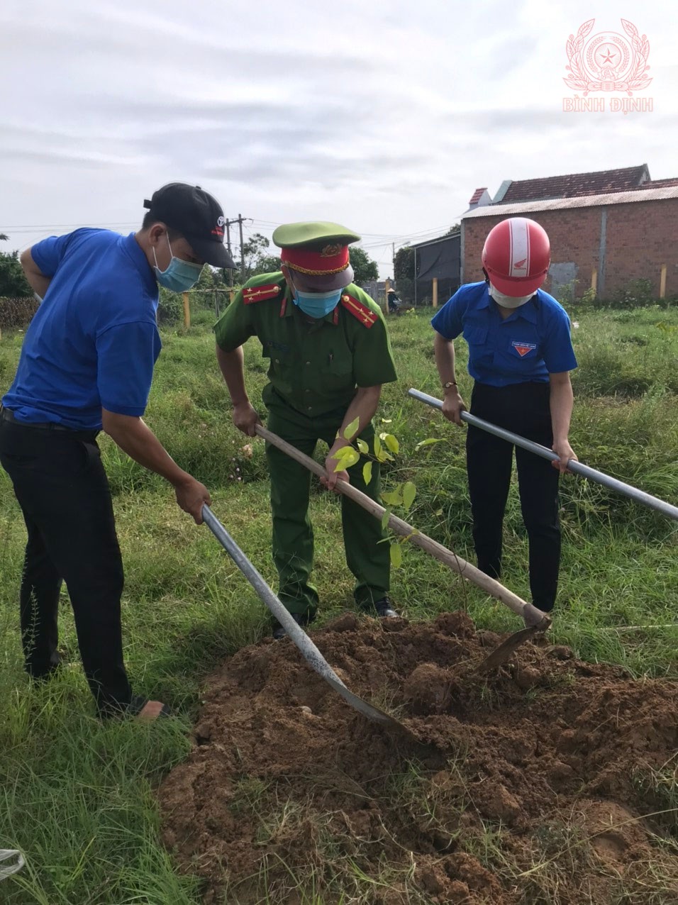 doan thanh nien trong cay xanh 2