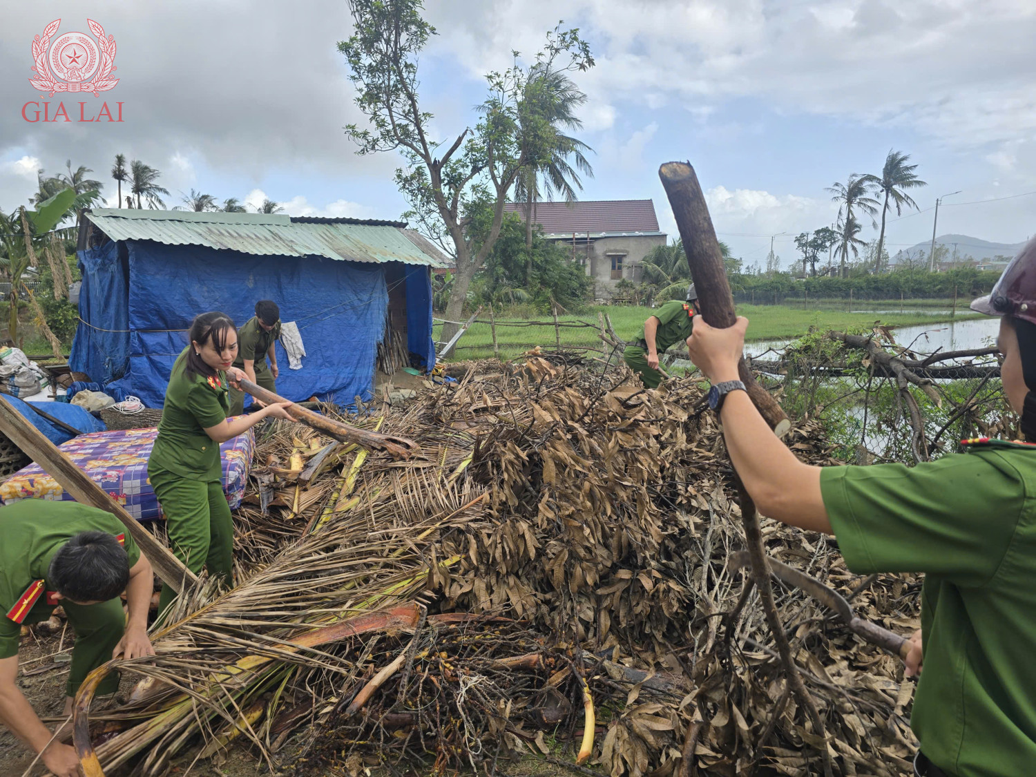 z7298981204502 d3684b09d67a6ad4e05d696c69fde9d3